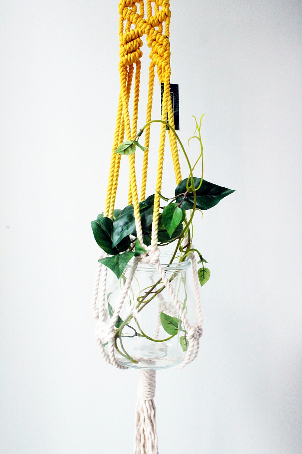 Sun-Crowned Botanical Plant Hanger — Top-Dyed Hand-Knotted Fiber Art
