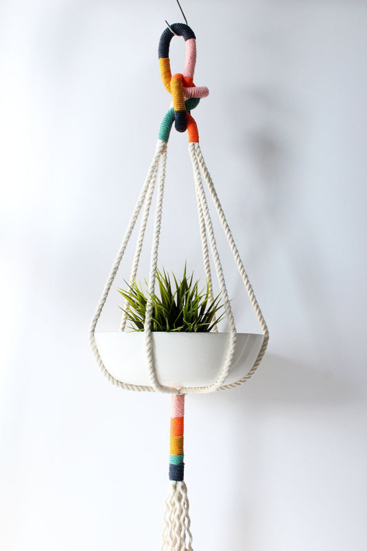 Colorful macrame plant hanger with a white planter holding a succulent on a plain background made by Freefille