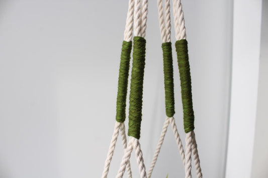 Close-up of a macrame plant hanger with green accents on a light gray background made by Freefille
