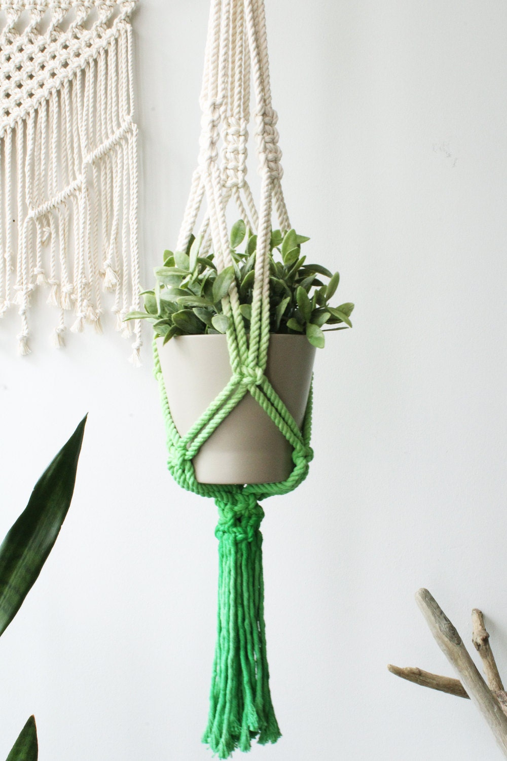 A bright green macrame plant hanger holding a beige pot with a green succulent, hanging against a white wall.