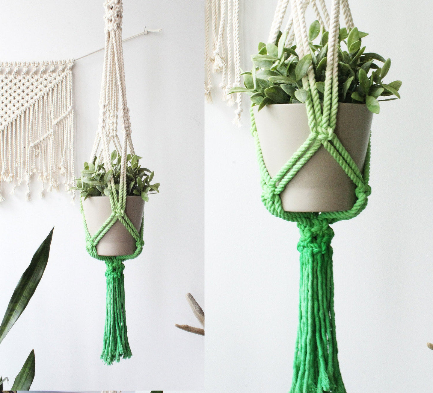 A bright green macrame plant hanger holding a beige ceramic pot with a green leafy plant, shown in a split view against a white wall with a macrame wall hanging.