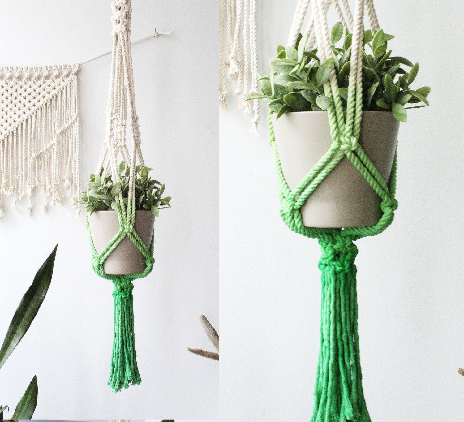 A bright green macrame plant hanger holding a beige ceramic pot with a green leafy plant, shown in a split view against a white wall with a macrame wall hanging.