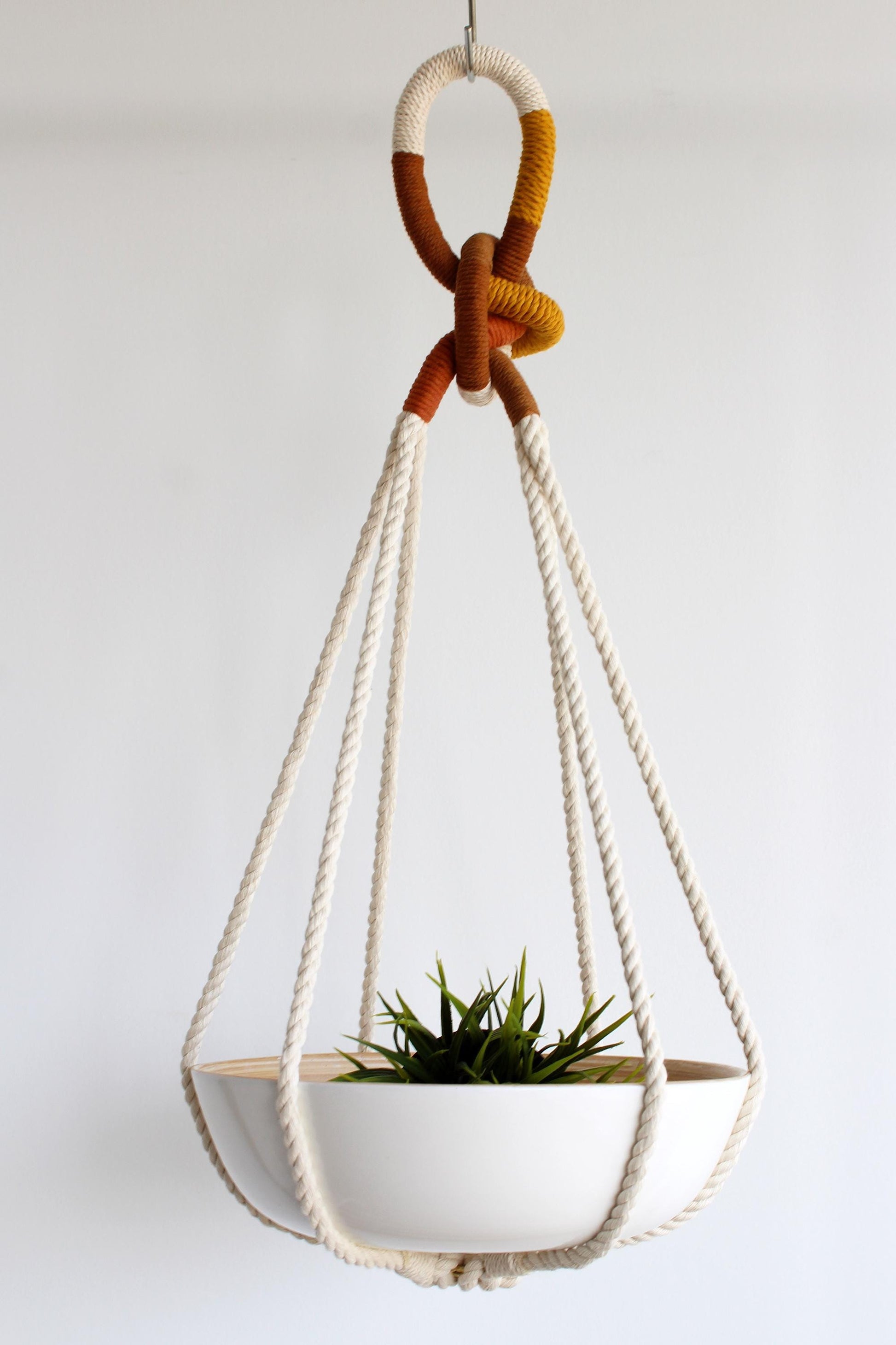 A white ceramic hanging planter , no tassels, suspended in a cream macrame rope hanger with a brown and mustard yellow knotted loop at the top, holding a small green succulent plant against a plain white background.