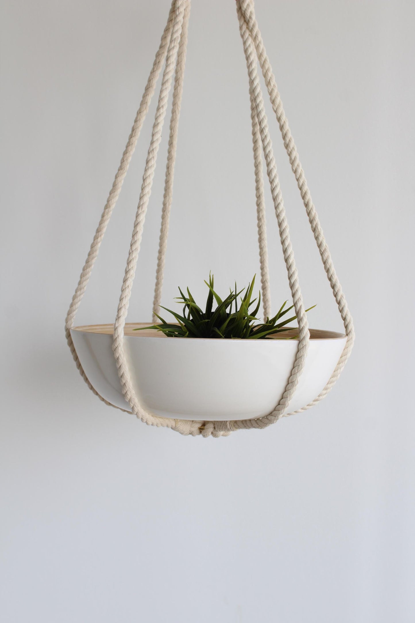 A white ceramic hanging planter, no tassels, with a green succulent plant inside, suspended by thick cream-colored rope against a plain light gray wall.