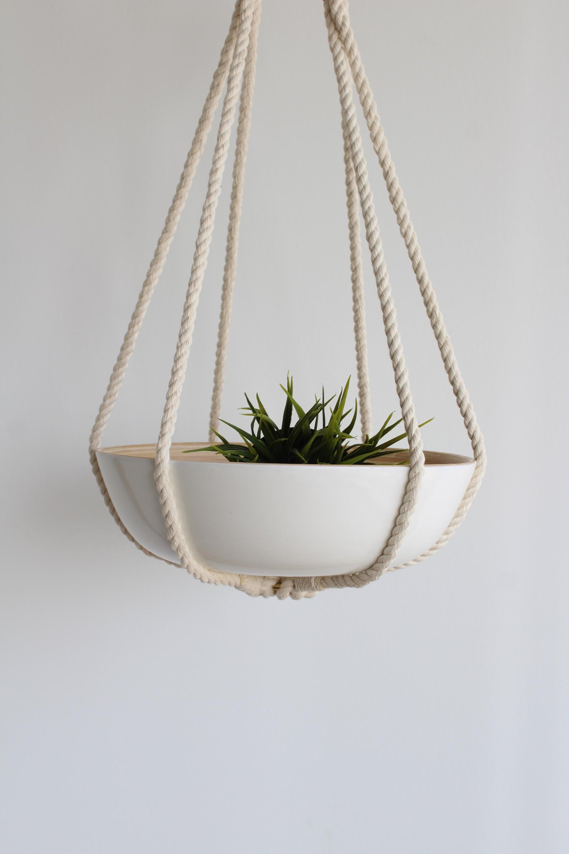 A white ceramic hanging planter, no tassels, with a green succulent plant inside, suspended by thick cream-colored rope against a plain light gray wall.