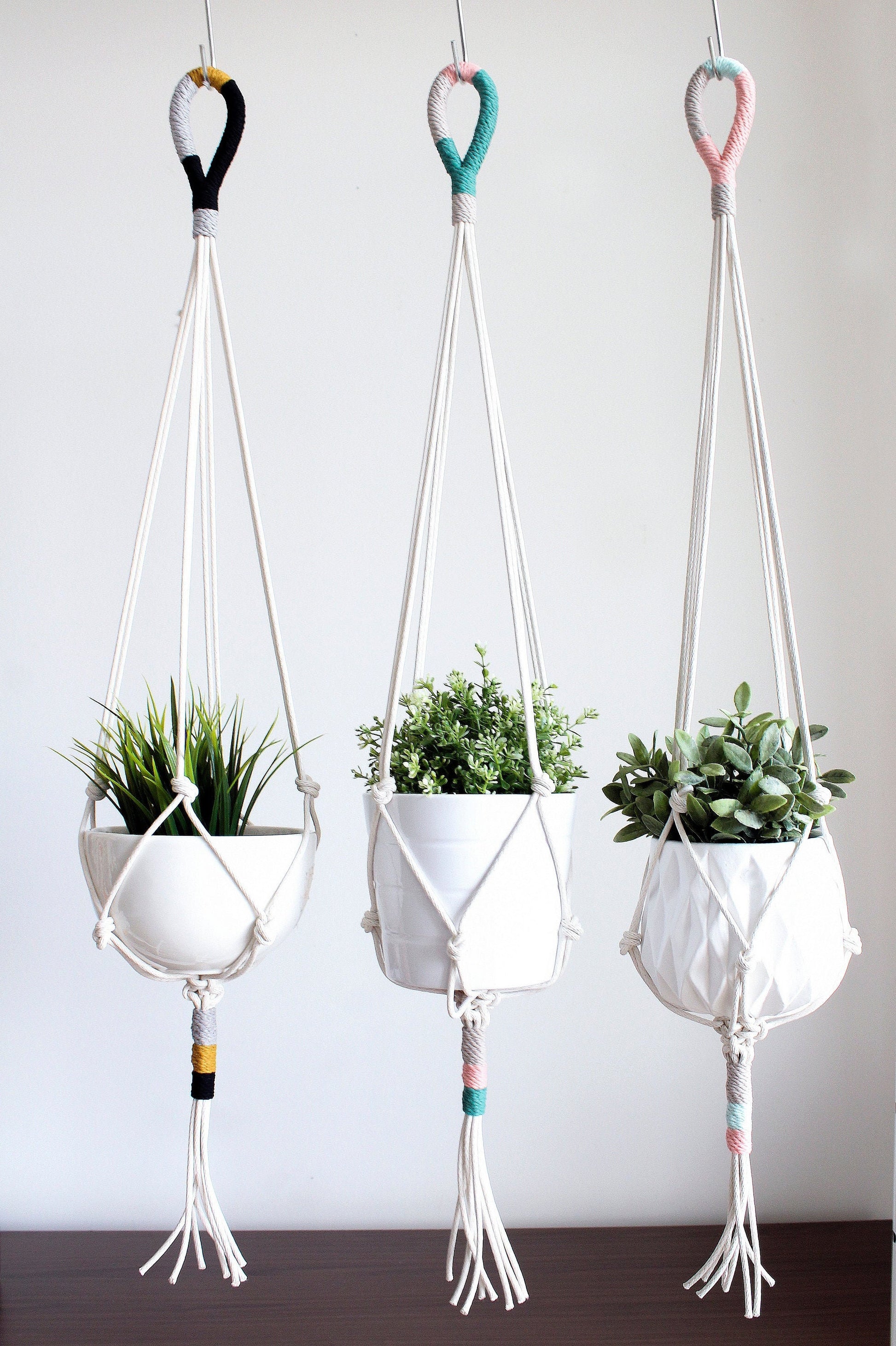 Three white macrame plant hangers suspended from colorful rope loops, holding white ceramic pots with green plants, set against a plain white wall.