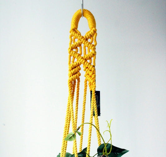 Sun-Crowned Botanical Plant Hanger — Top-Dyed Hand-Knotted Fiber Art