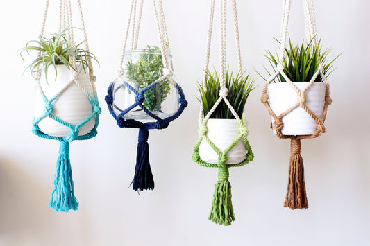 Modern Dip-Dyed Macrame Plant Hanger