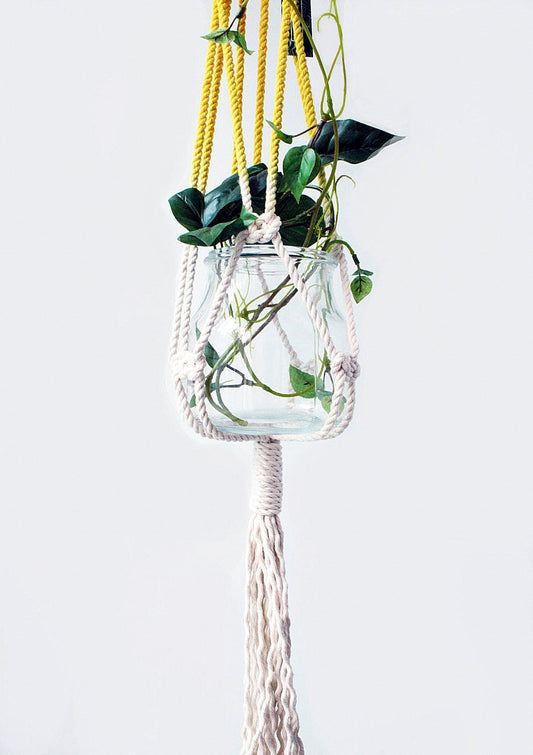 Sun-Crowned Botanical Plant Hanger — Top-Dyed Hand-Knotted Fiber Art