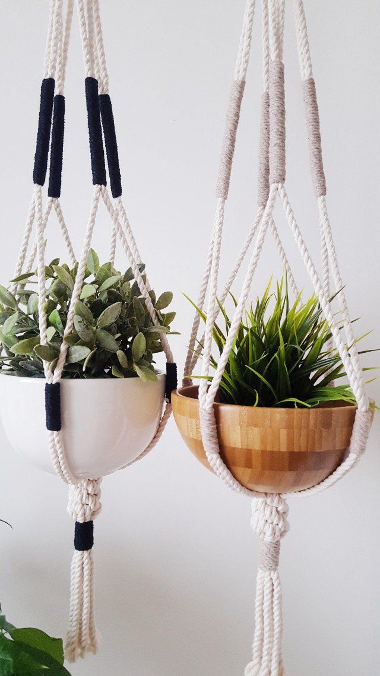 Two hanging planters with plants on a white background made by Freefille