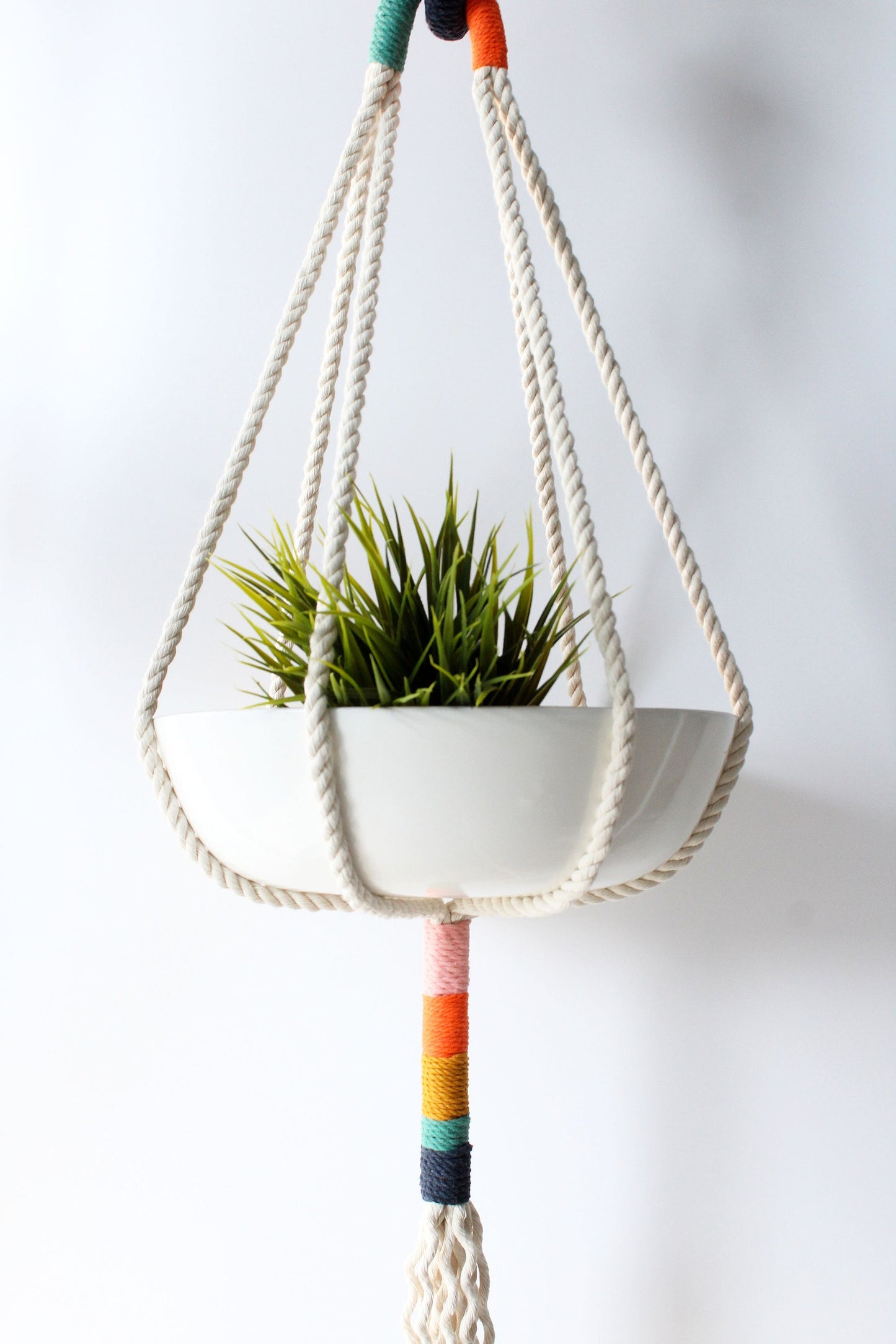 White pot with green plant on a macrame plant hanger with rainbow-colored ends against a white background made by Freefille